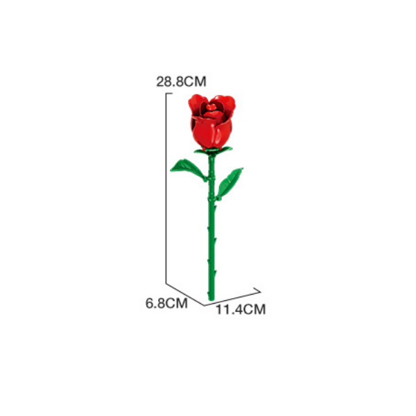 11543_RO.png